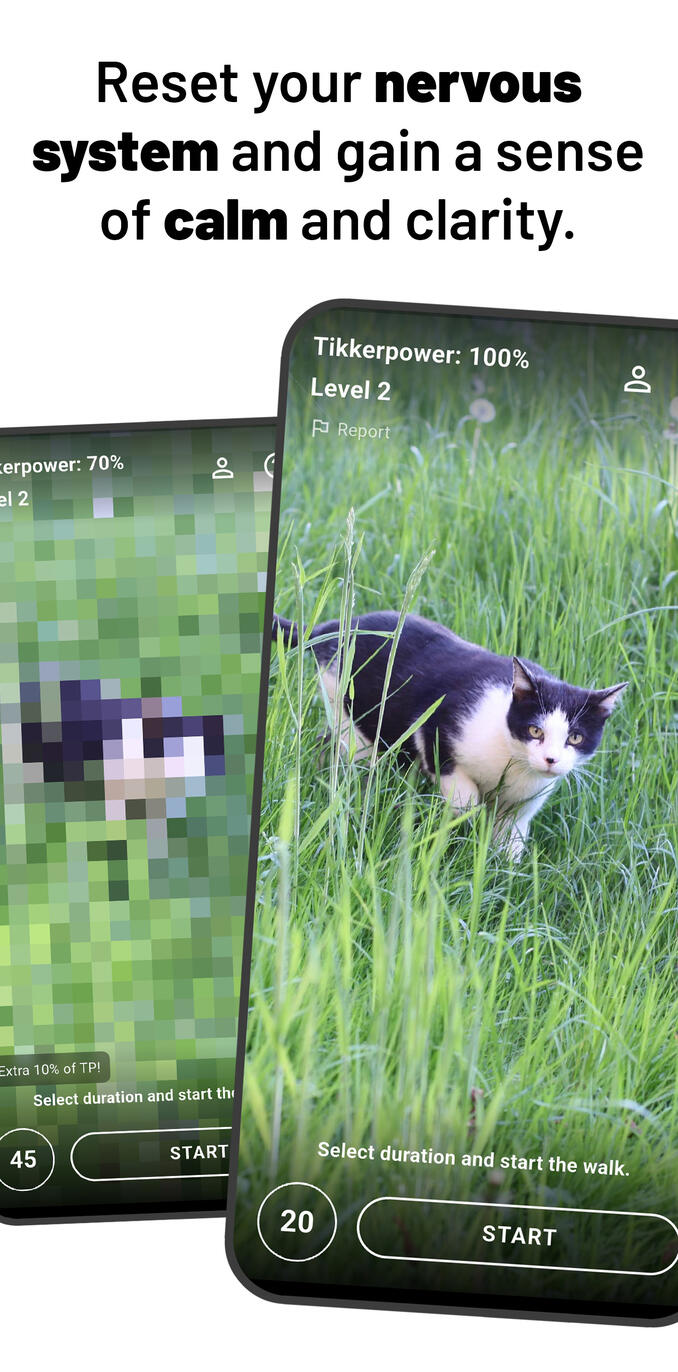 Reset Pixelated cat photo is getting sharper.